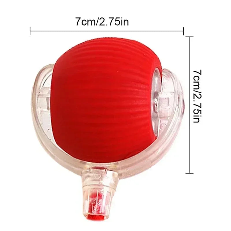 Paw’n’ Play Ball