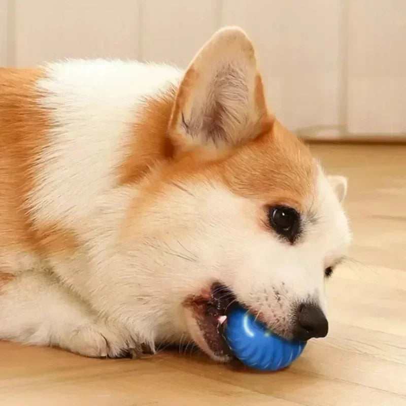 Bouncing Ball