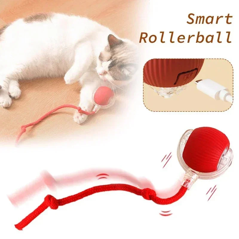 Paw’n’ Play Ball