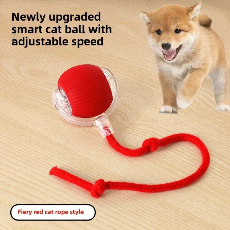 Paw’n’ Play Ball
